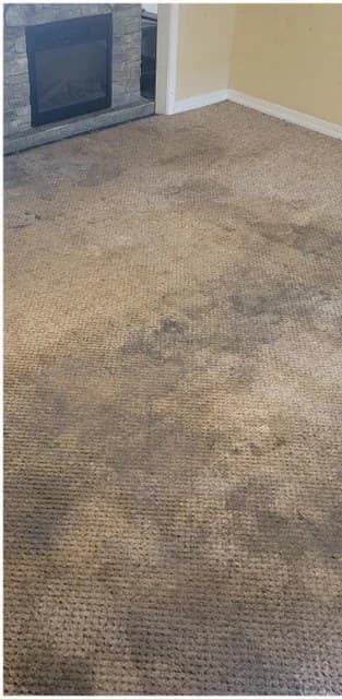 Alfombra antes de la limpieza en Mataró