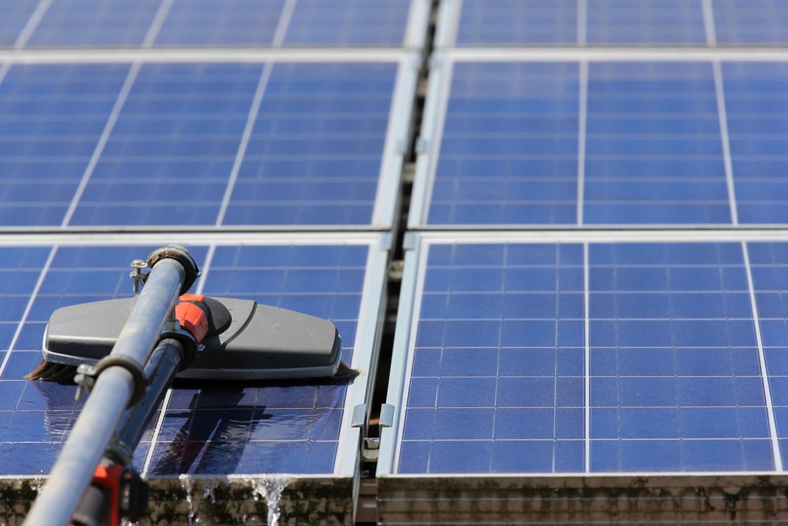 Limpieza de paneles solares con agua y cepillo suave